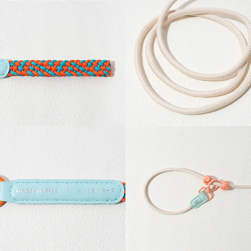 Durable Nylon Slip Training Leash & Collar for Dogs