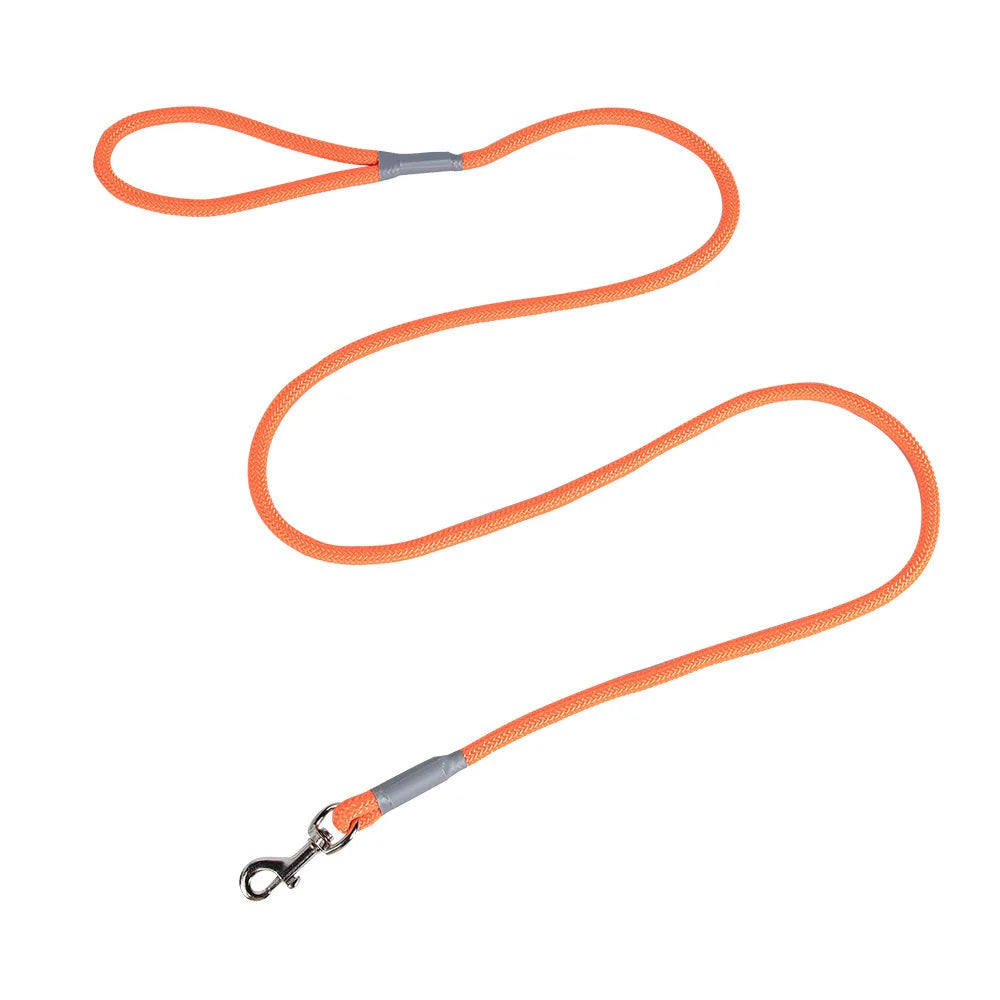 Dopamine Color Dog Harness & Leash Set for Outdoor Walks