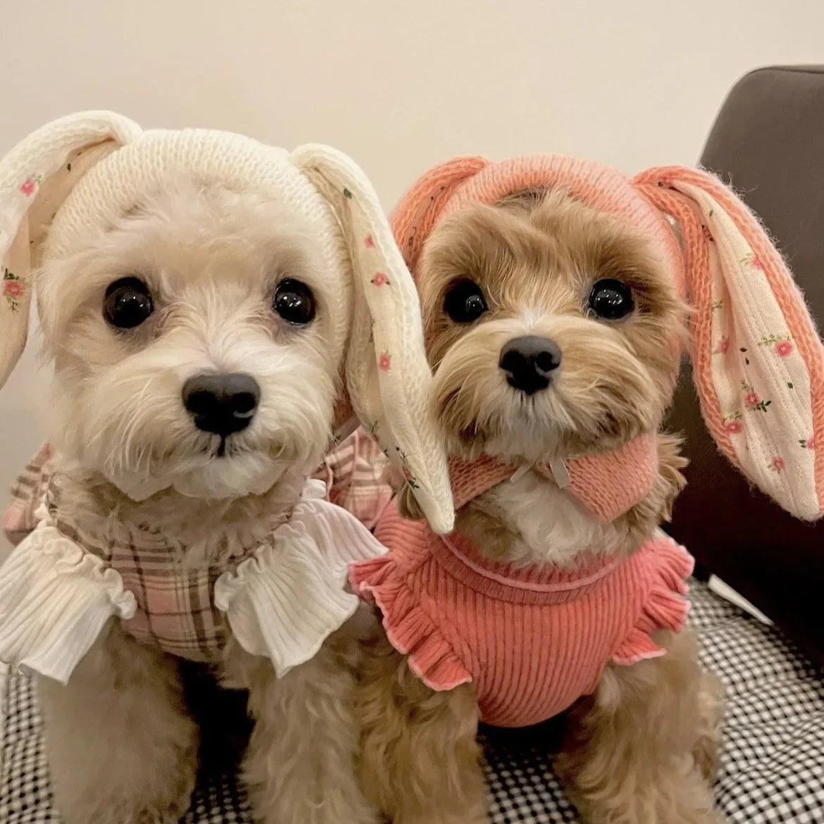 Cute Rabbit Ears Knitted Pet Hat for Autumn & Winter