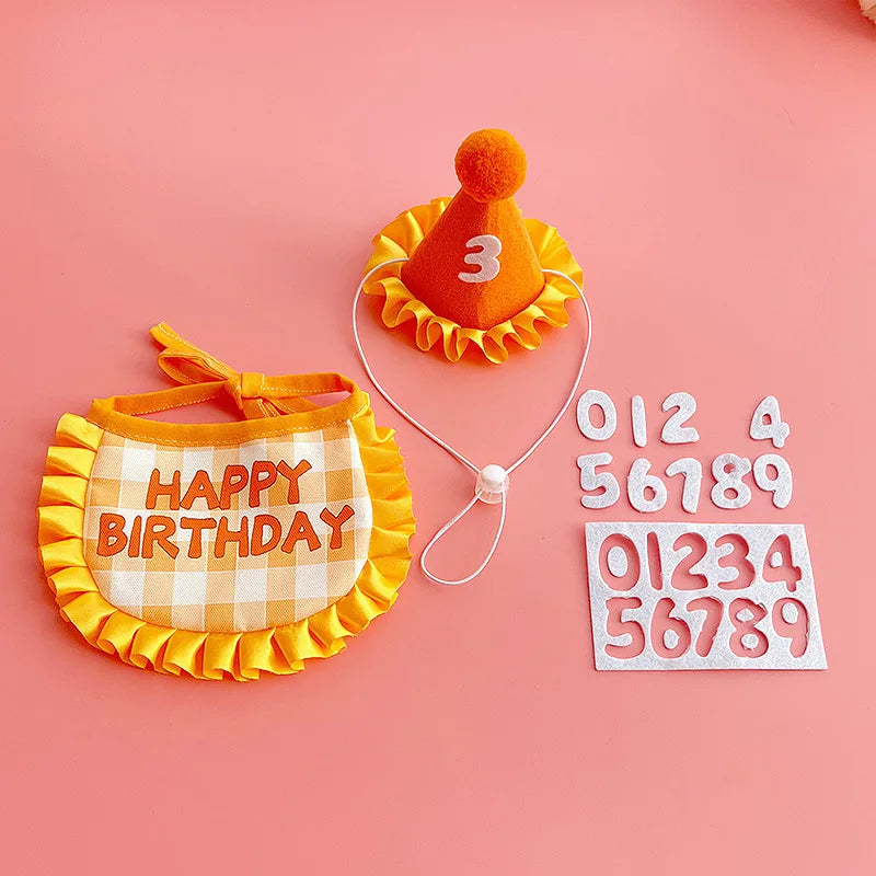 Cat Birthday Hat & Bib Costume Set