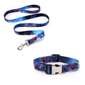 Custom Engraved Anti-Loss Dog Collar & Leash Set