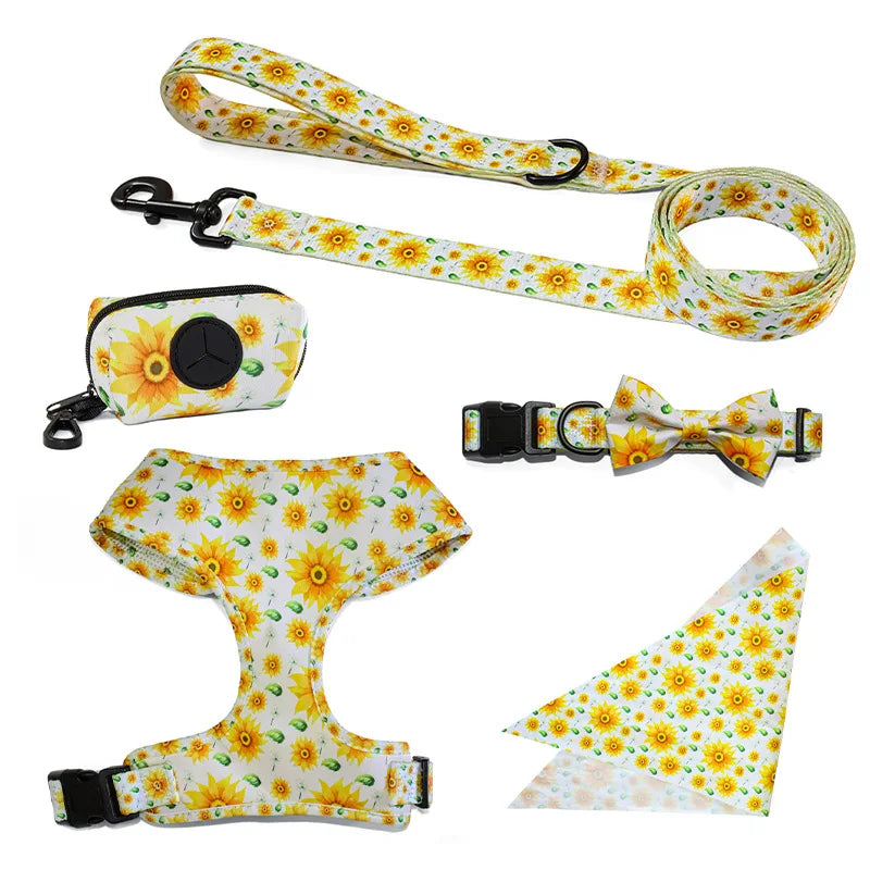 Complete Dog Collar, Leash & Bandana Set with Poop Bag Holder