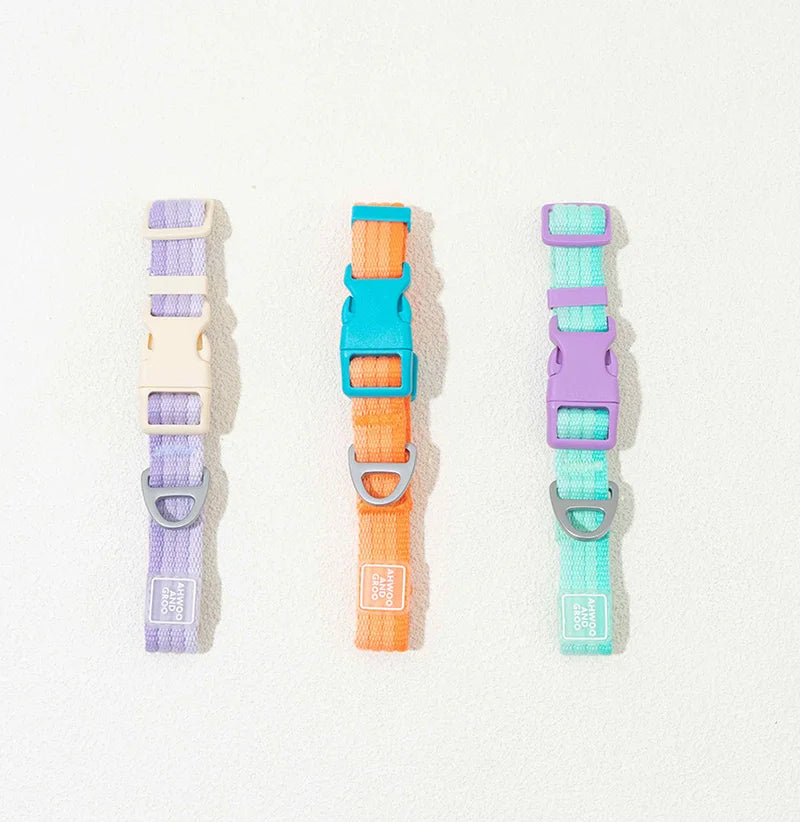 Macaron No-Pull Dog Harness & Collar Set