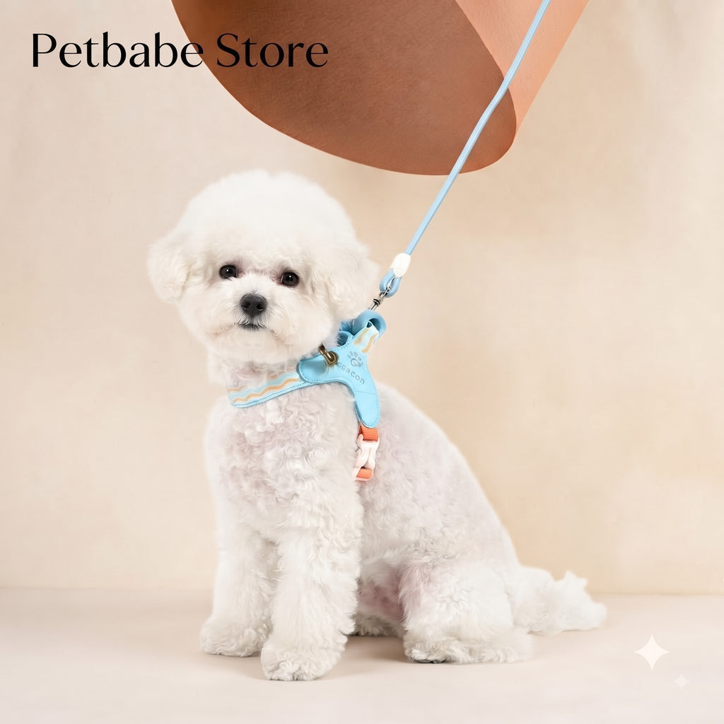 PawEase™ ComfortFit Small Dog Harness Set