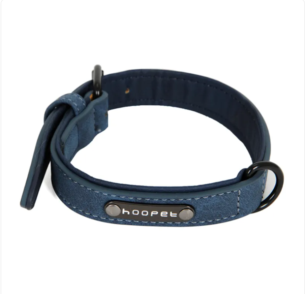 Eco-Flex Dog Collar & Leash Kit