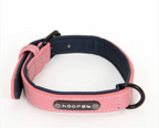 Eco-Flex Dog Collar & Leash Kit