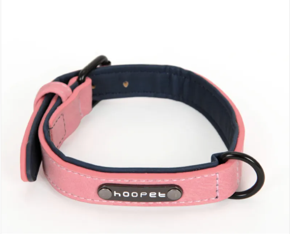 Eco-Flex Dog Collar & Leash Kit