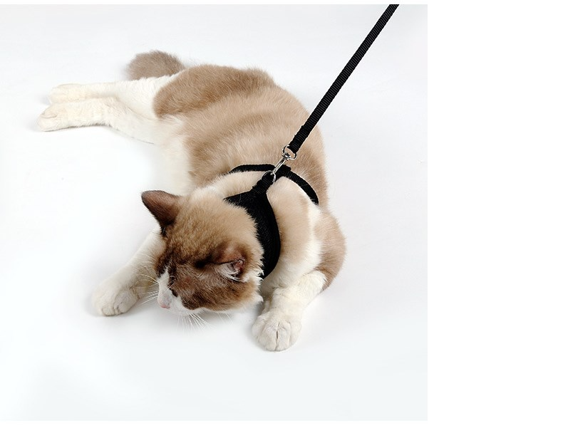 Secure Cat Harness